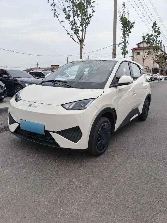 2025 BYD Seagull BEV 30.08KWH