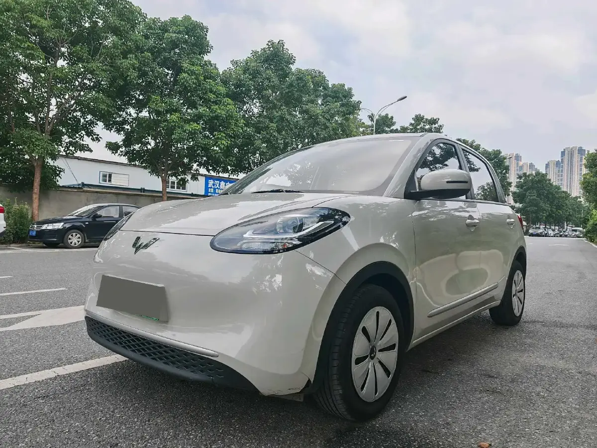 2023 WuLing BinGuo BEV 17.3KWH