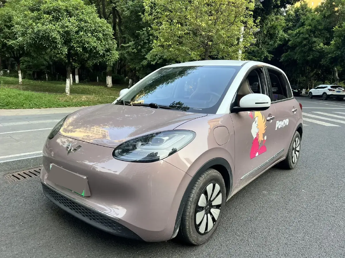 2023 WuLing BinGuo BEV 31.9KWH