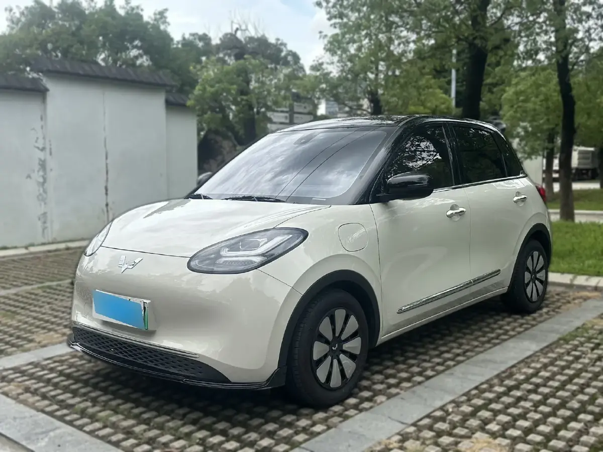 2023 WuLing BinGuo BEV 31.9KWH