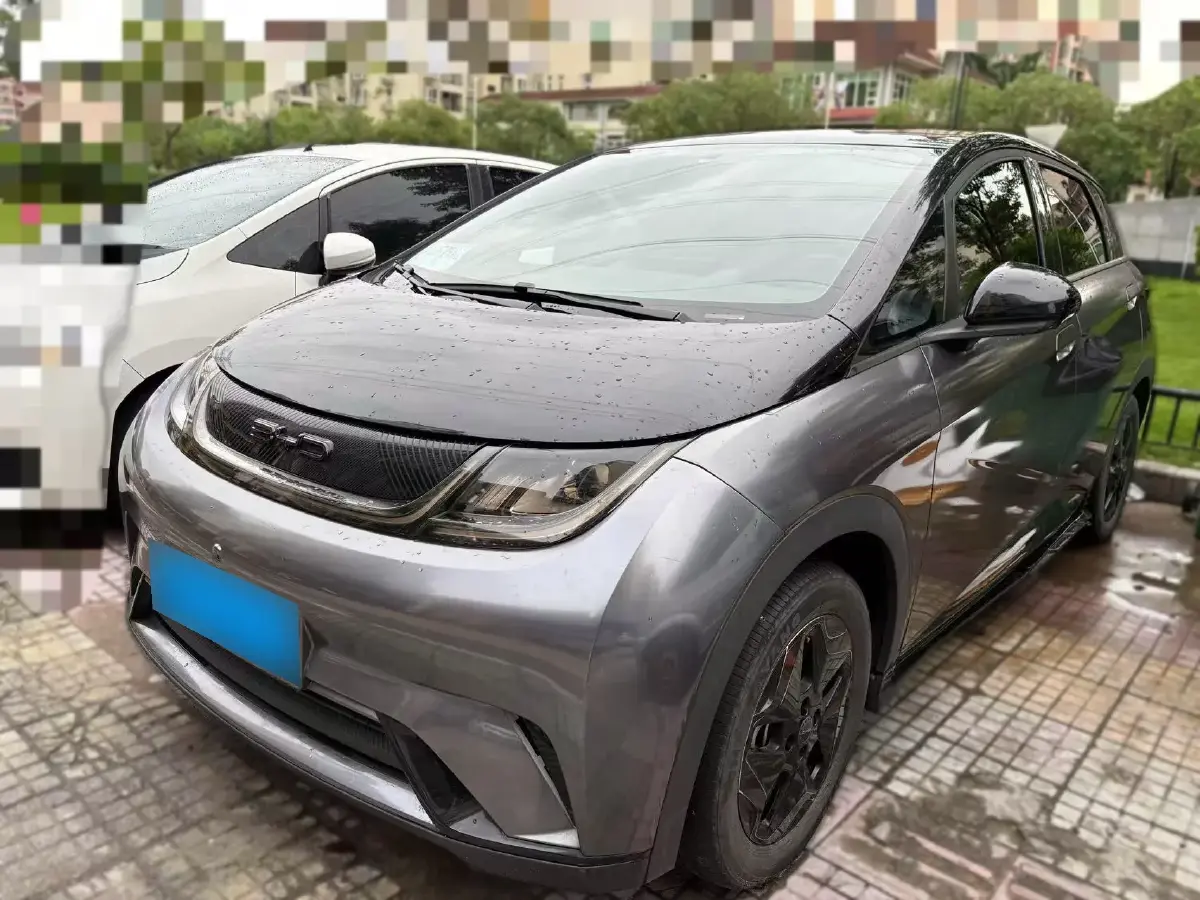 2021 BYD Dolphin BEV 44.9KWH