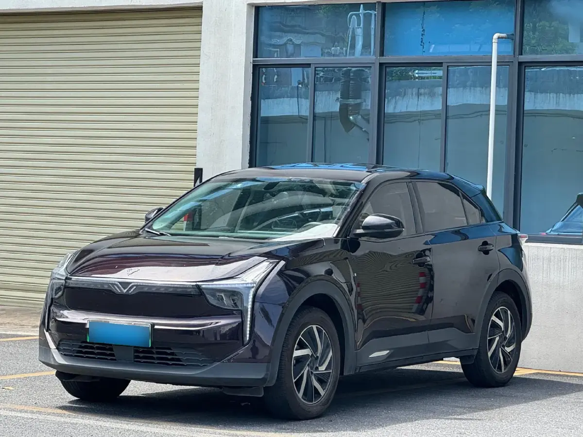 2021 Neta U BEV 56.03KWH