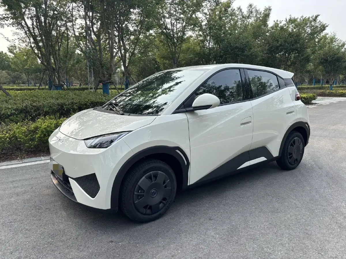 2025 BYD Seagull BEV 30.08KWH