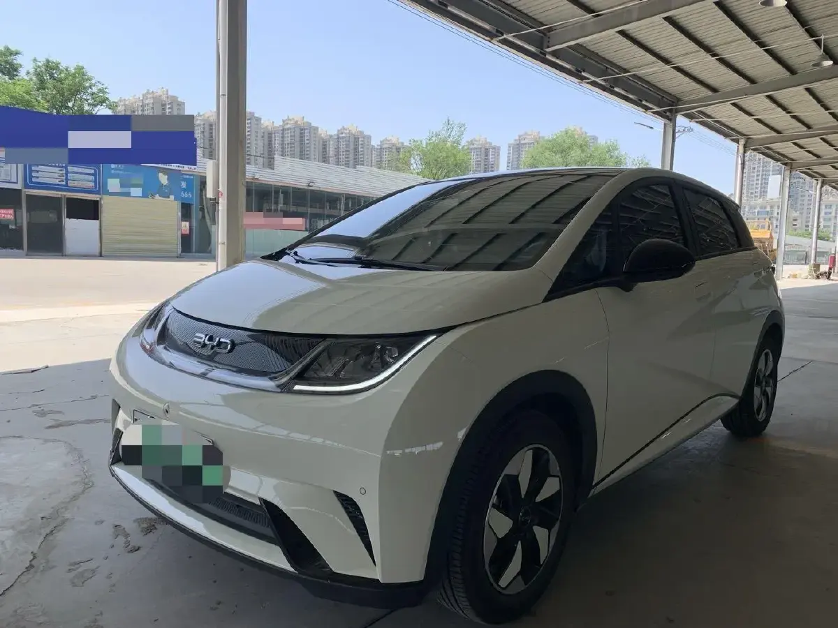 2024 BYD Dolphin BEV 44.928KWH