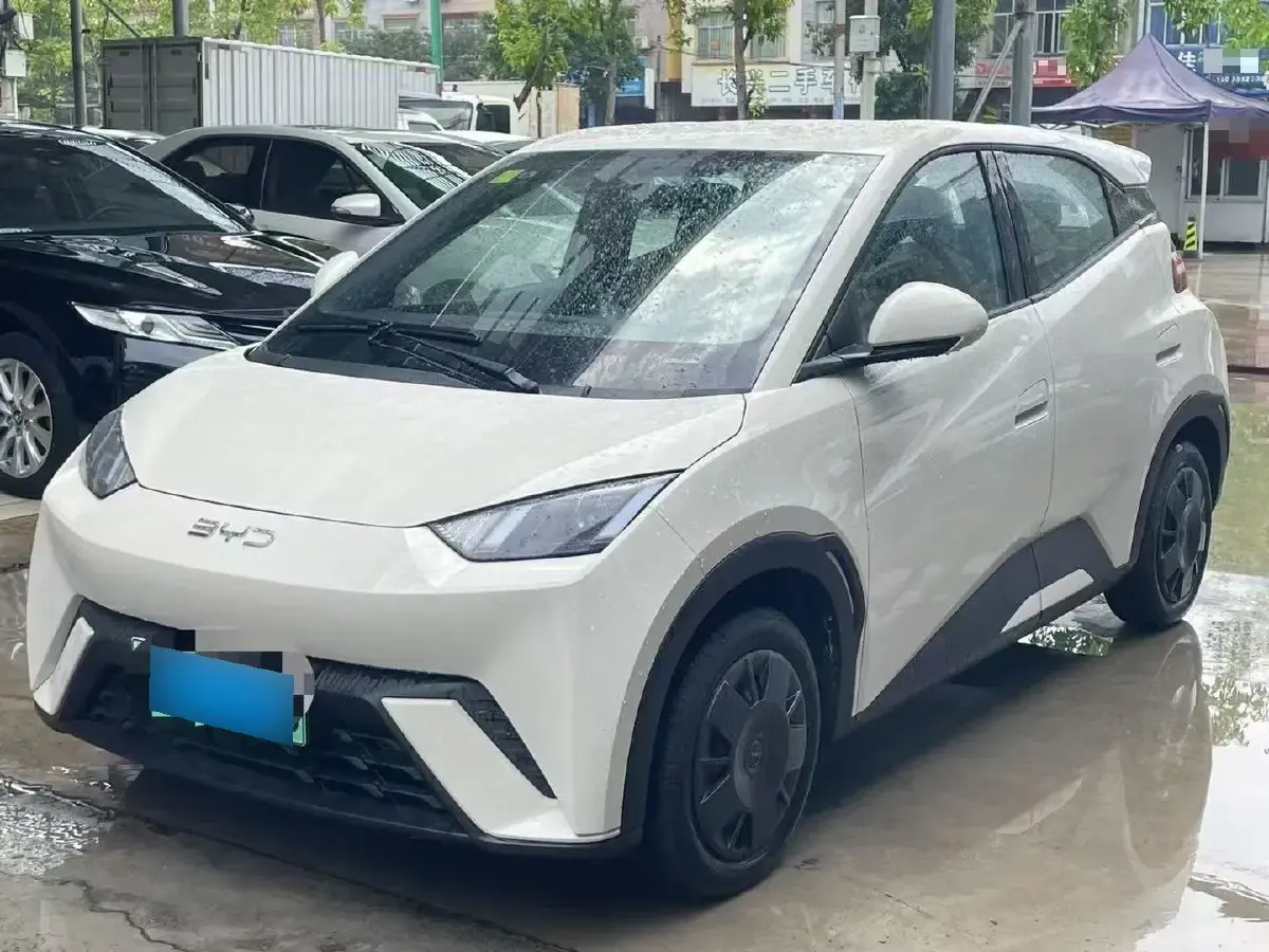 2024 BYD Seagull BEV 30.08KWH