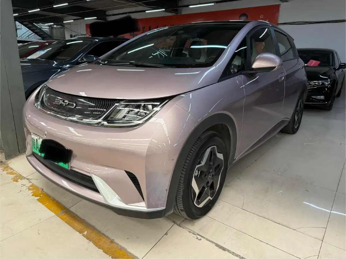 2021 BYD Dolphin BEV 44.9KWH
