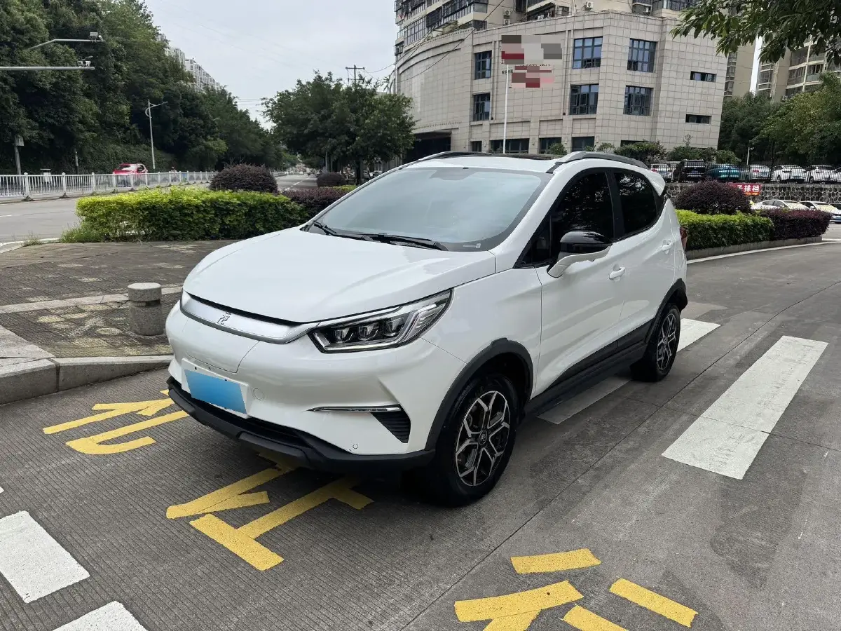 2021 BYD Yuan Pro BEV 50.1KWH