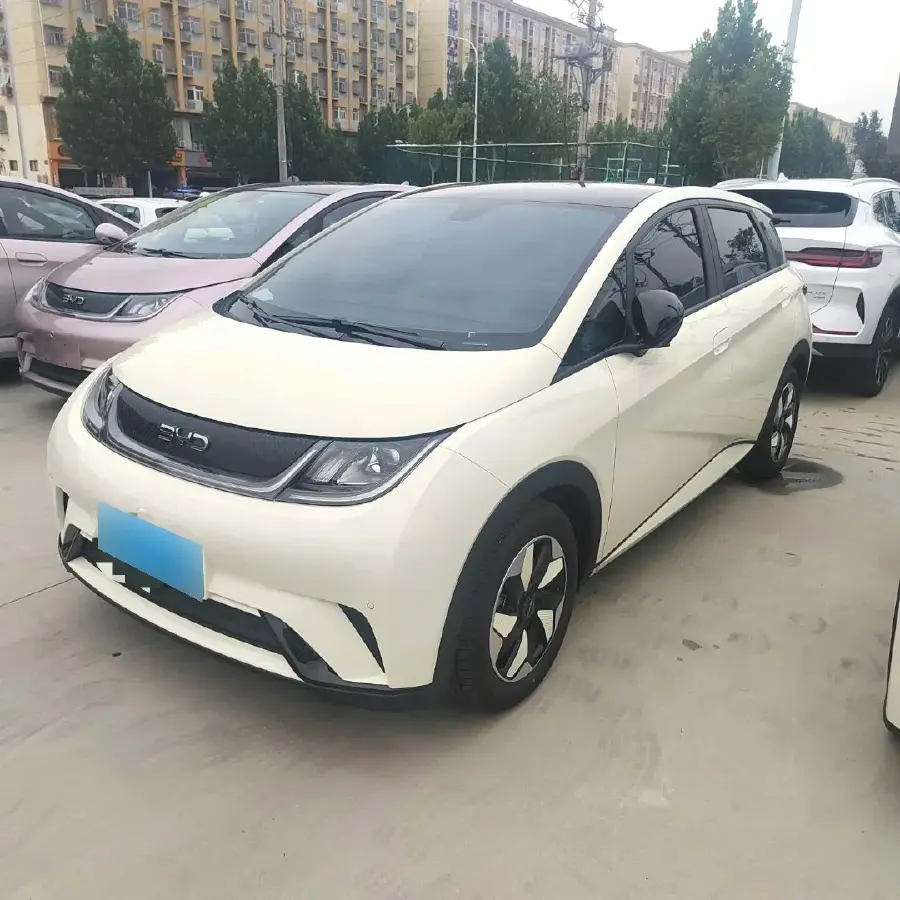 2024 BYD Dolphin BEV 44.928KWH
