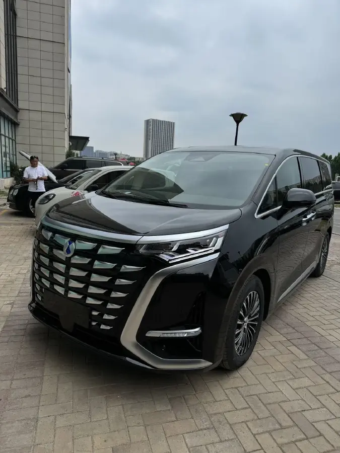 2024 Denza D9 1.5T 139HP L4 E-CVT PHEV 40KWH