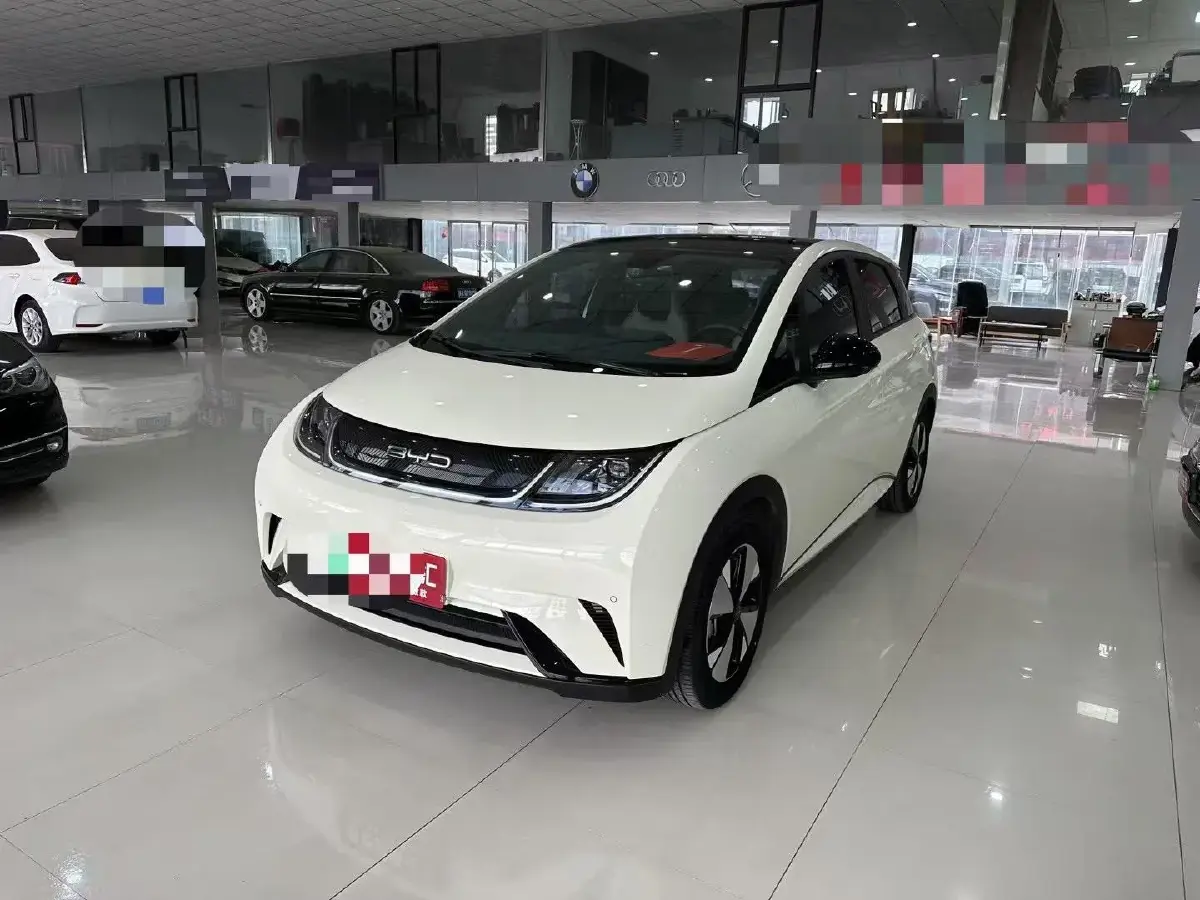 2023 BYD Dolphin BEV 44.928KWH
