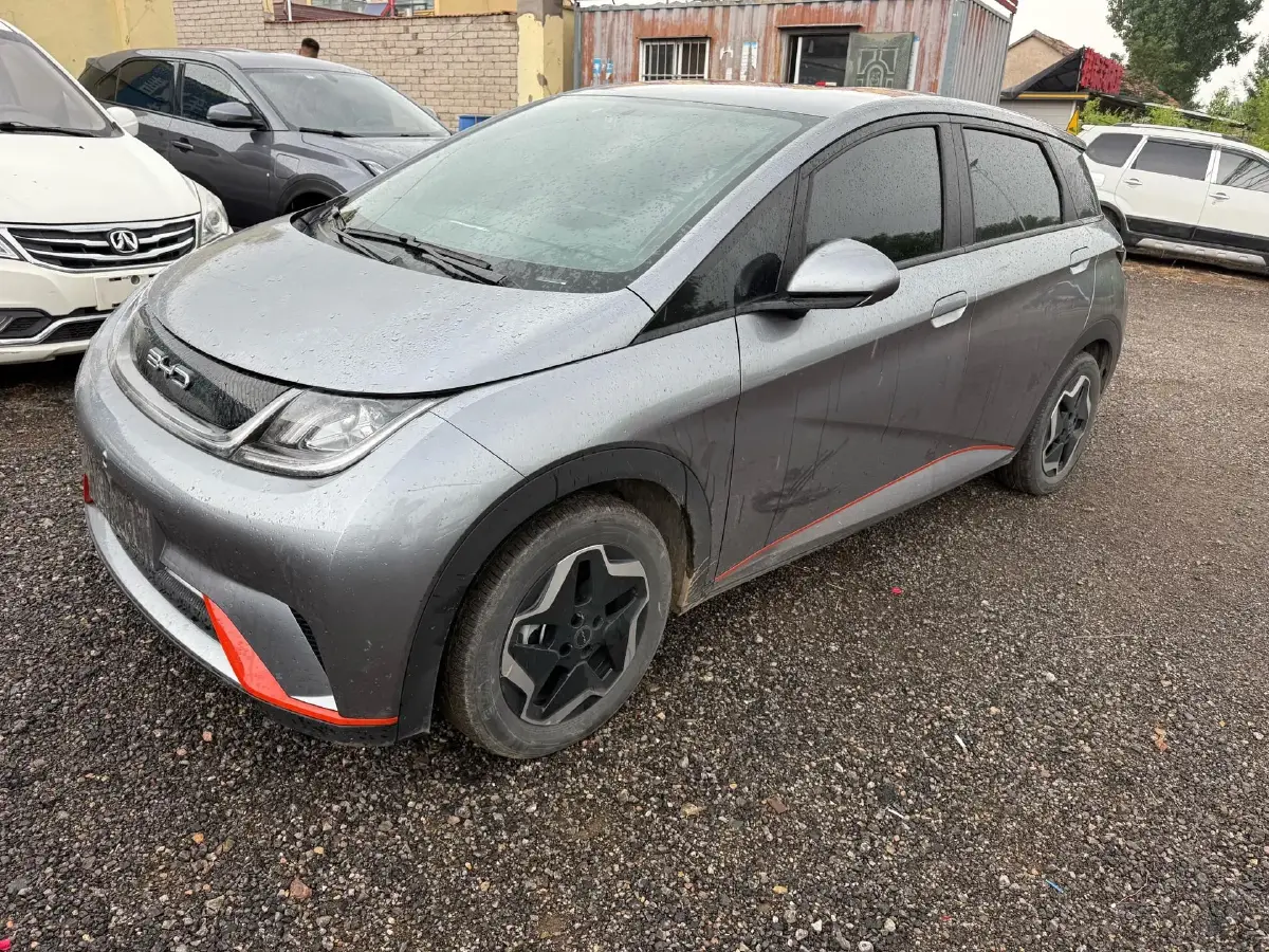 2021 BYD Dolphin BEV 44.9KWH
