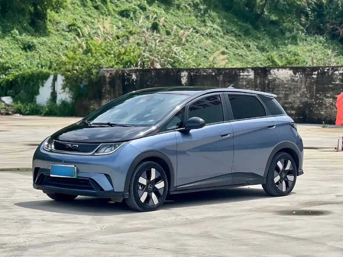 2024 BYD Dolphin BEV 44.928KWH