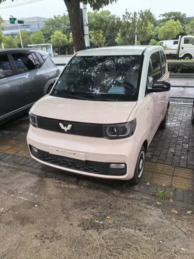 2020 WuLing HongGuang MINI EV BEV 13.8KWH