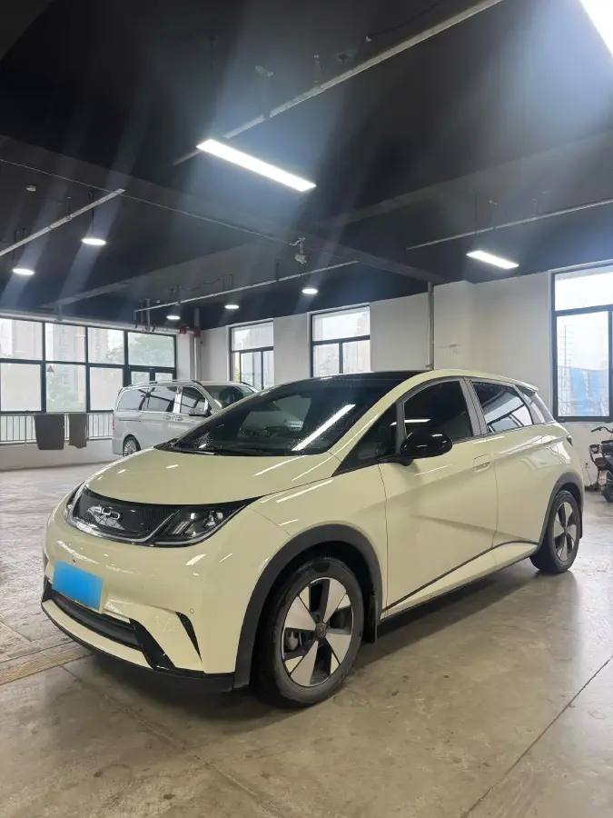 2023 BYD Dolphin BEV 44.928KWH