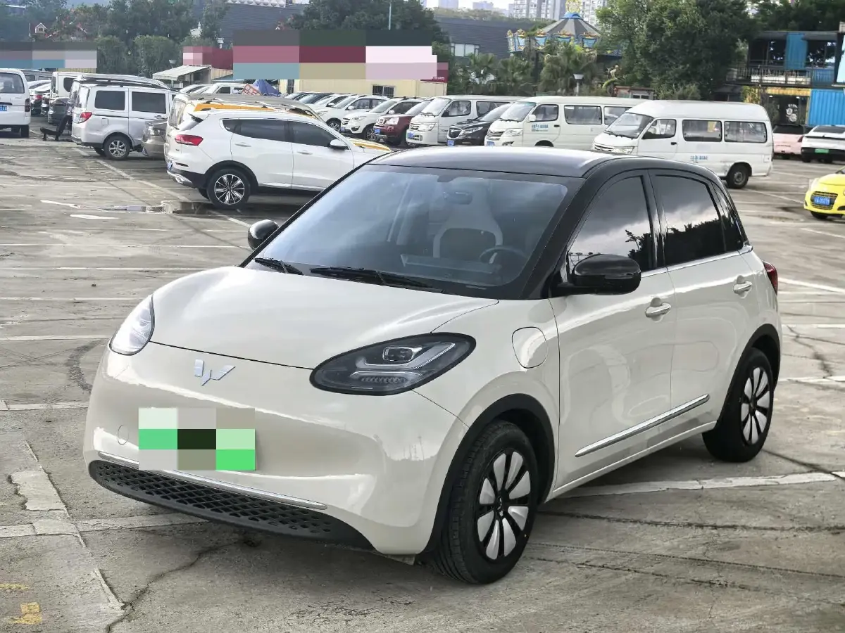 2023 WuLing BinGuo BEV 31.9KWH