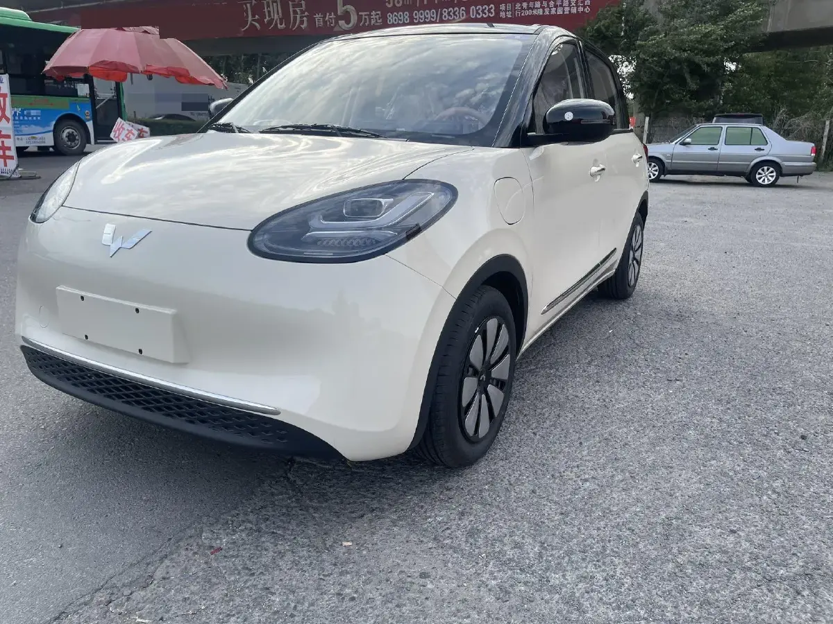 2025 WuLing BinGuo BEV
