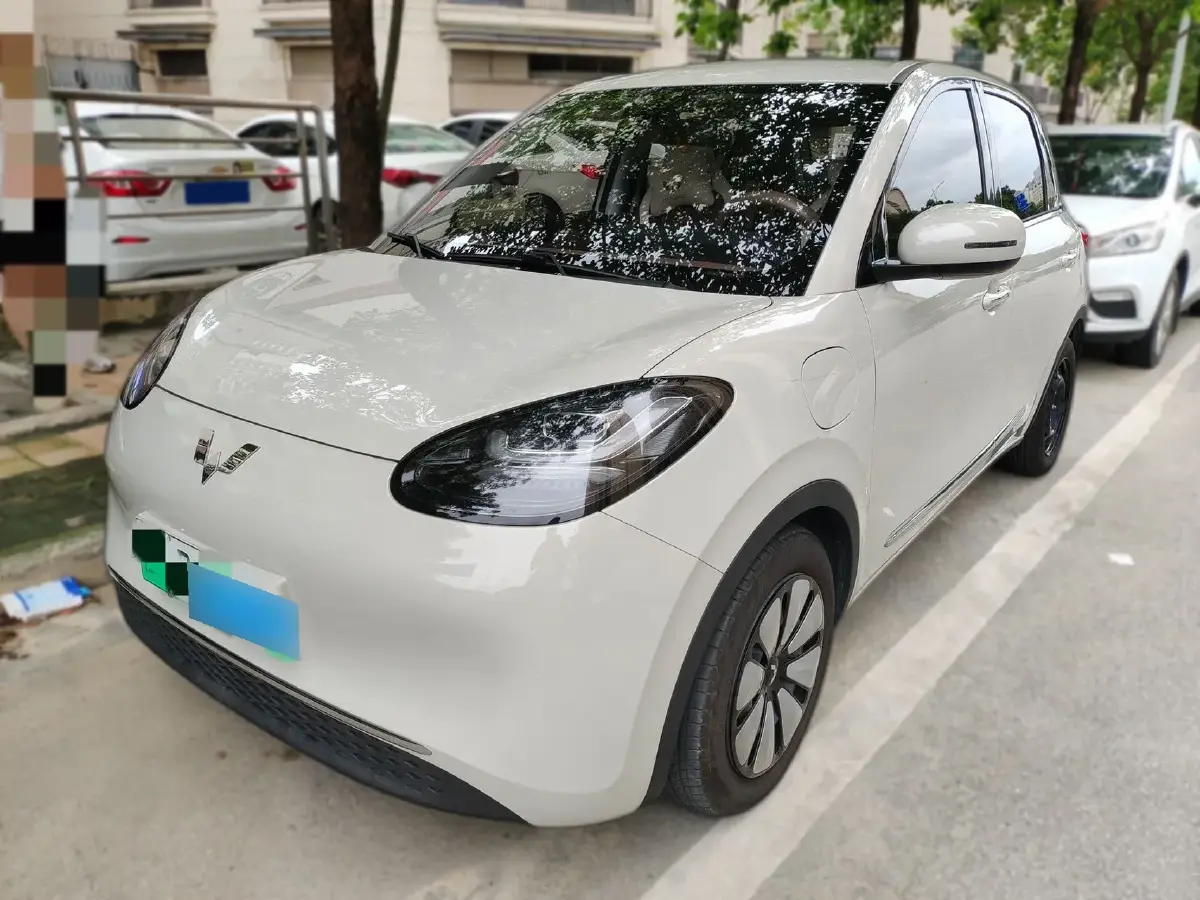 2023 WuLing BinGuo BEV 31.9KWH