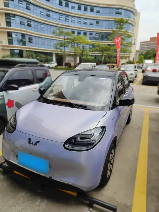 2025 WuLing BinGuo BEV