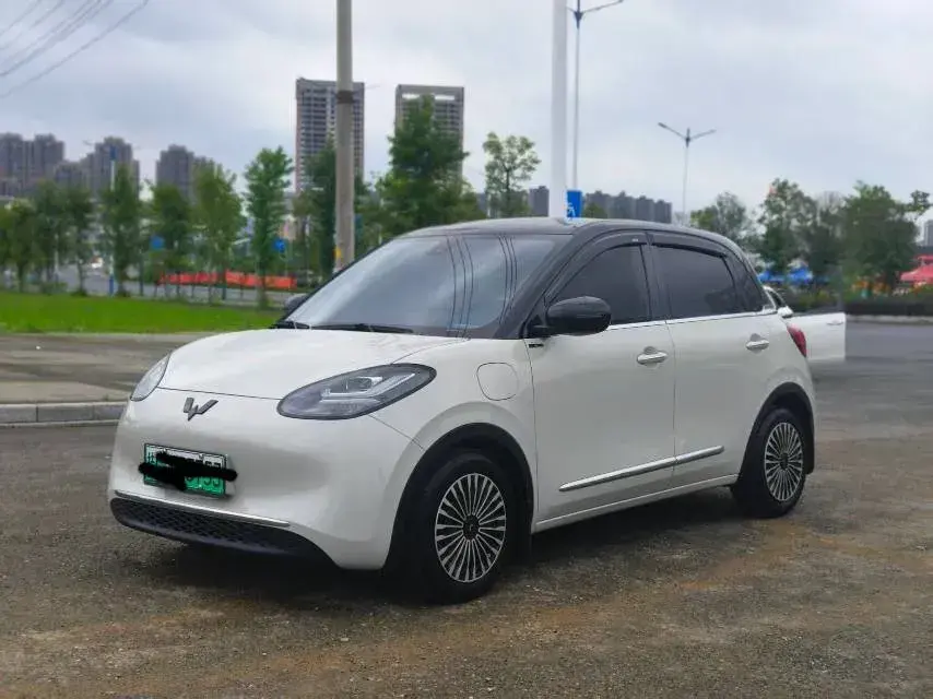 2023 WuLing BinGuo BEV 31.9KWH