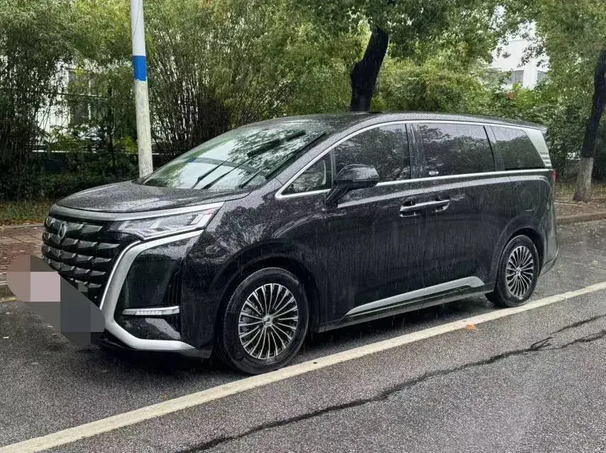 2024 Denza D9 1.5T 139HP L4 E-CVT PHEV 40KWH