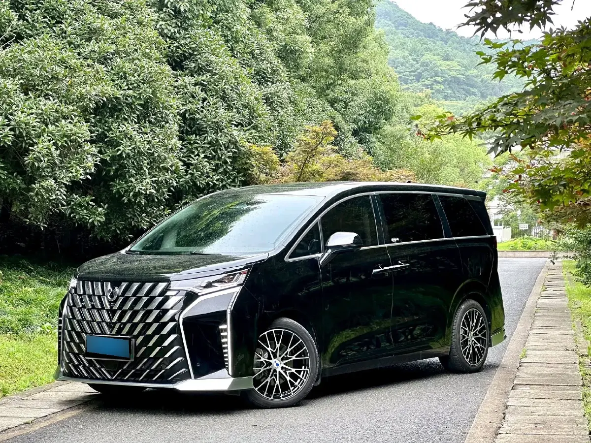 2022 Denza D9 1.5T 139HP L4 E-CVT PHEV 40.06KWH