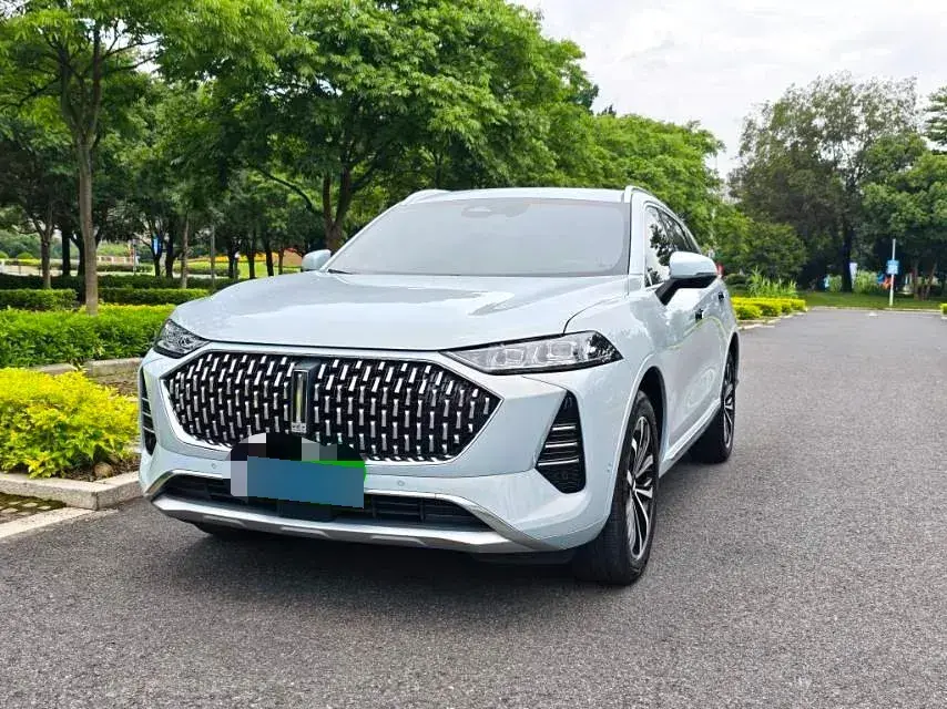 2021 WEY Mocha 2.0T 214HP L4 9DCT