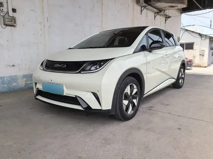 2024 BYD Dolphin BEV 44.928KWH