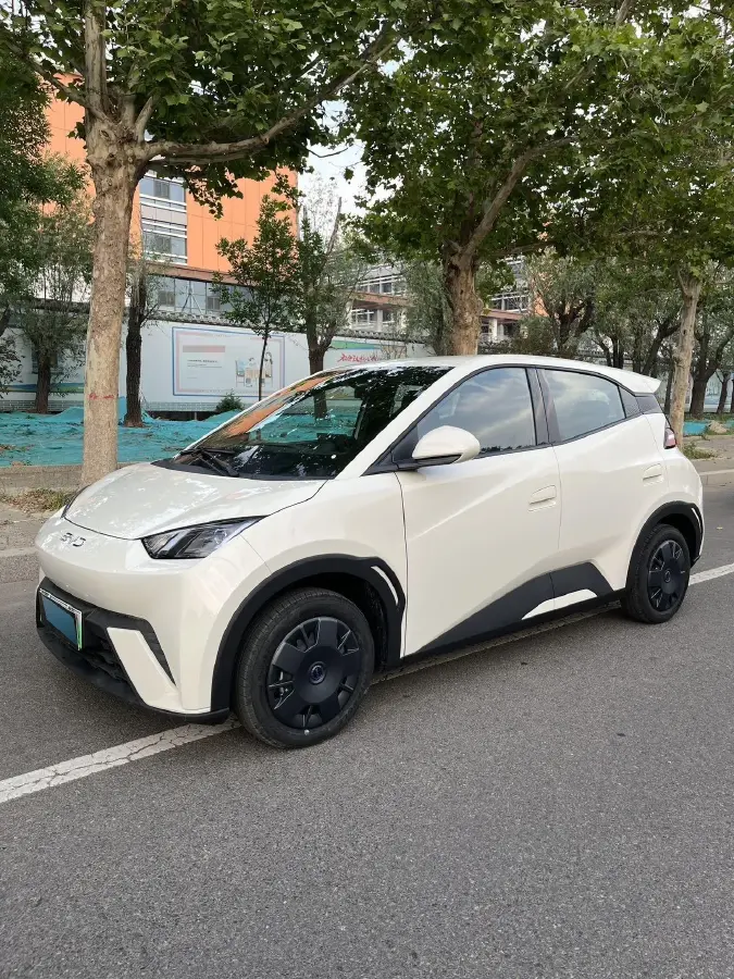 2024 BYD Seagull BEV 30.08KWH