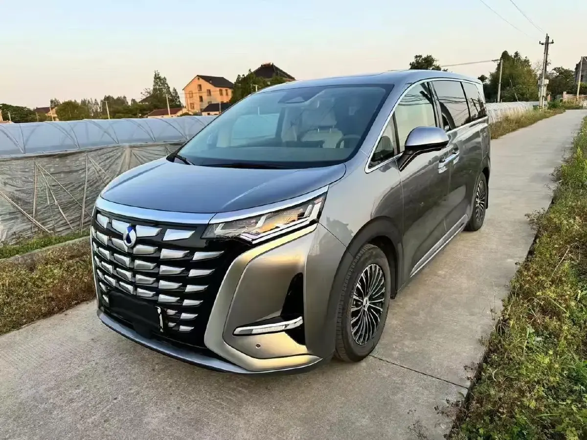 2022 Denza D9 1.5T 139HP L4 E-CVT PHEV 40.06KWH