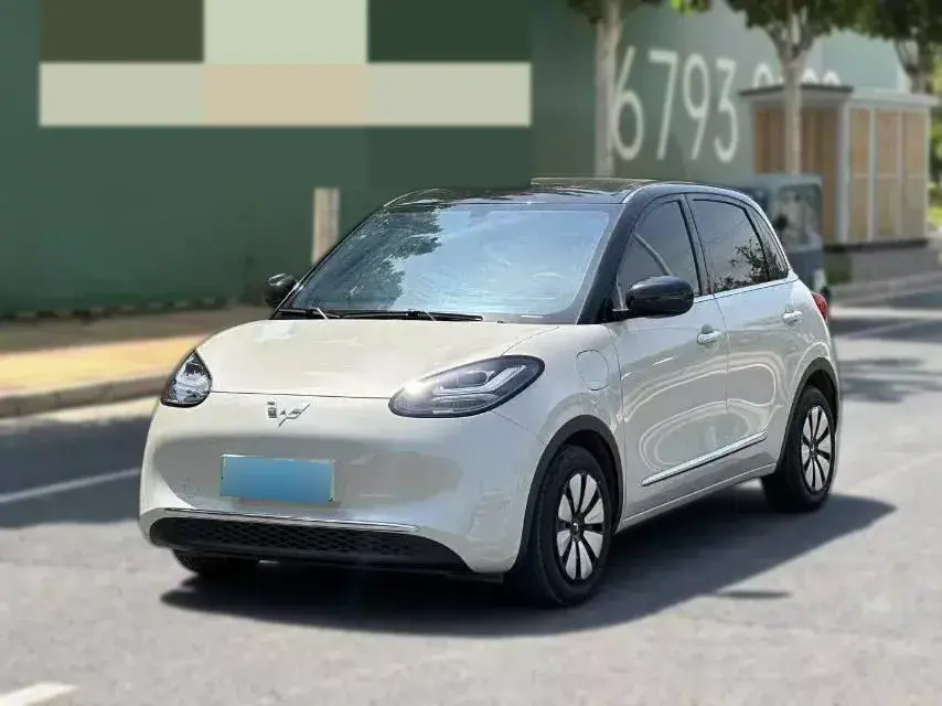 2024 WuLing BinGuo BEV 31.9KWH