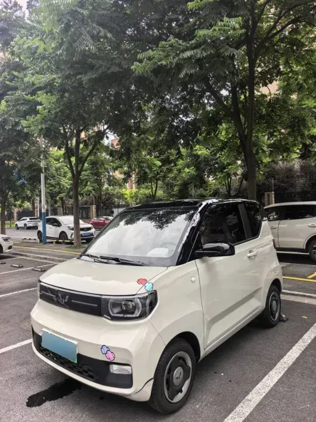 2022 WuLing HongGuang MINI EV BEV 9KWH