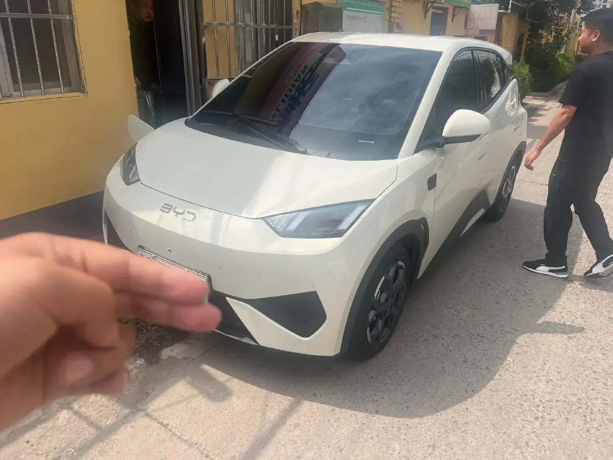 2025 BYD Seagull BEV 30.08KWH