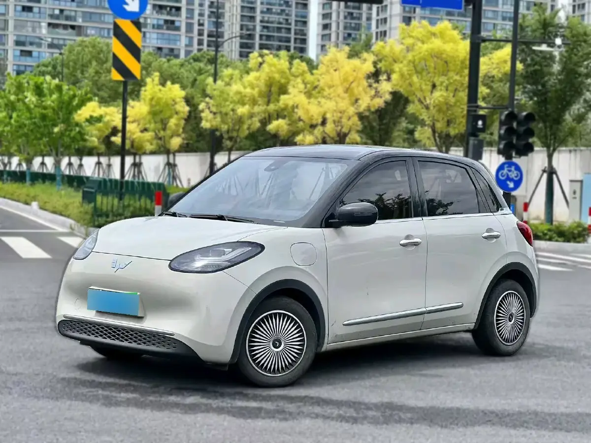 2023 WuLing BinGuo BEV 31.9KWH