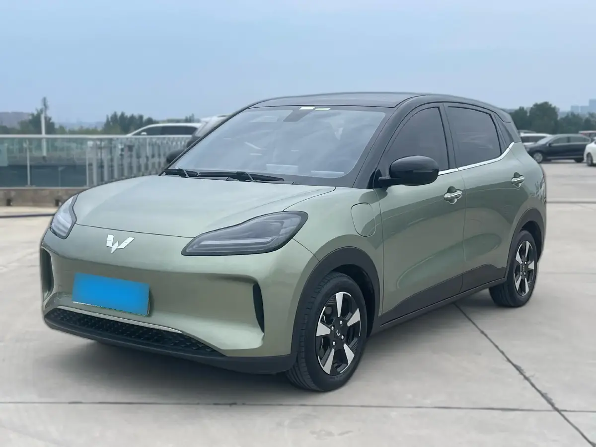 2024 WuLing BinGuoPLUS BEV 50.6KWH