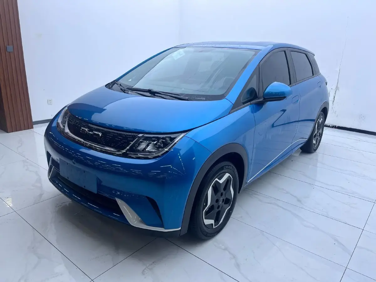 2021 BYD Dolphin BEV 44.9KWH