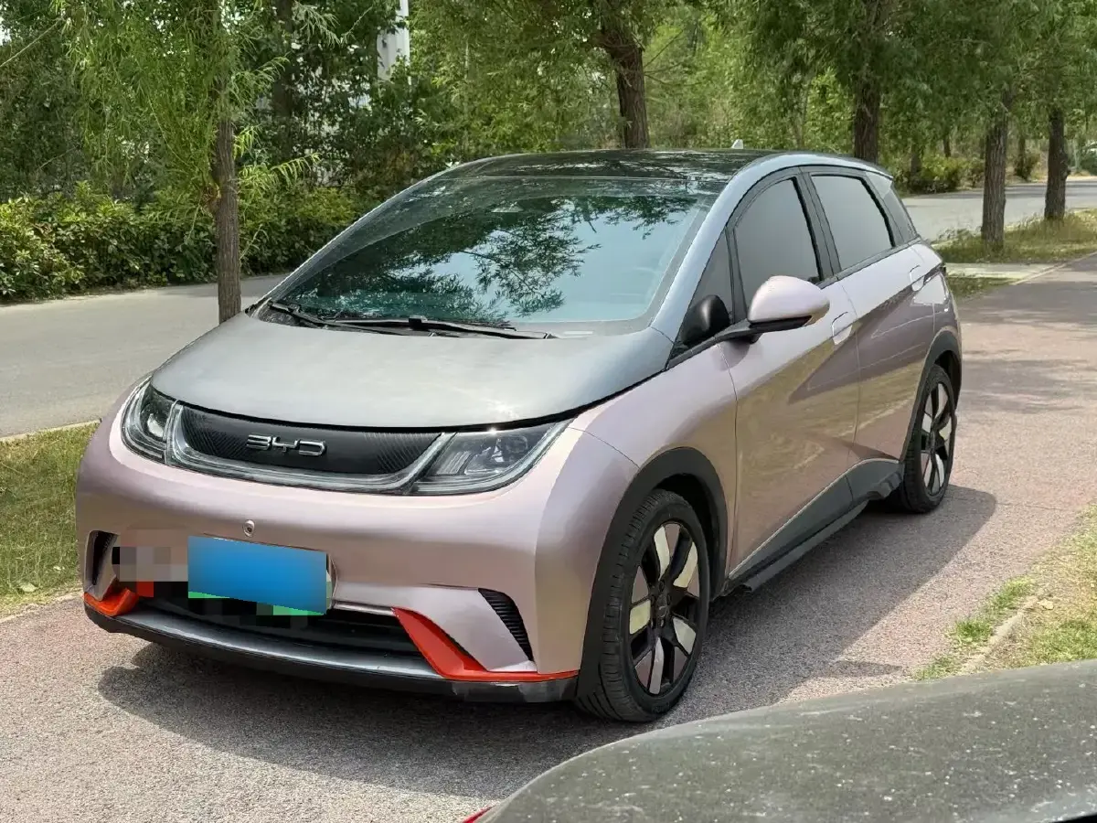 2021 BYD Dolphin BEV 44.9KWH