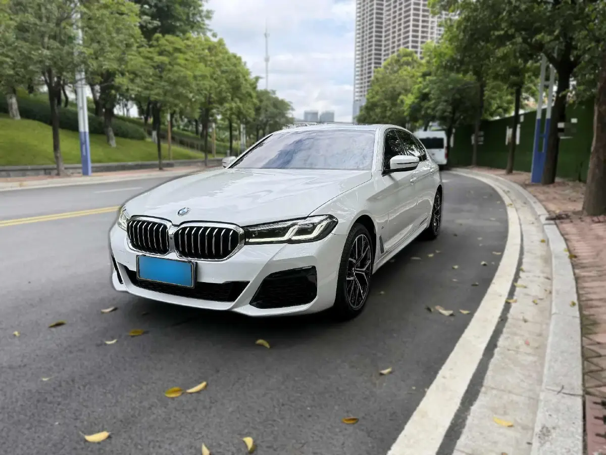 2022 BMW 5 Series 2.0T 252HP L4 8AT