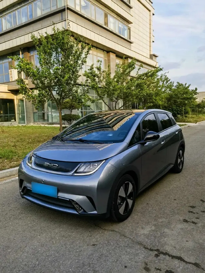 2023 BYD Dolphin BEV 44.928KWH