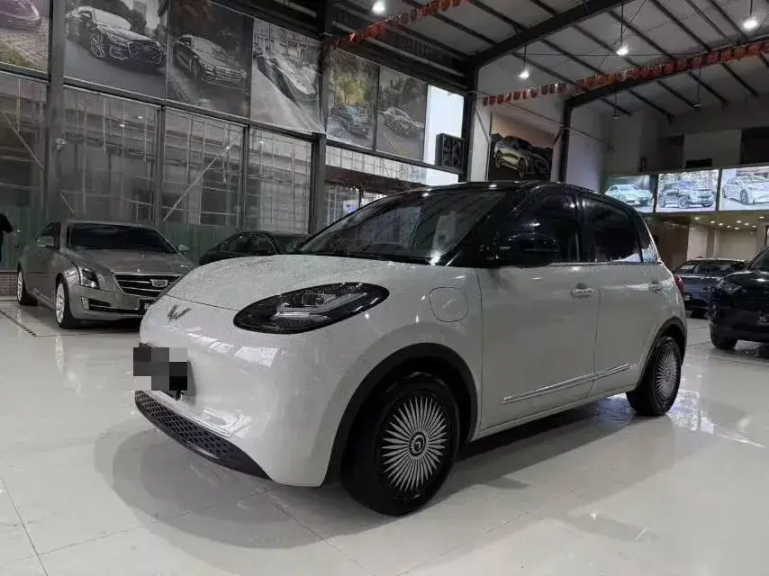 2024 WuLing BinGuo BEV 31.9KWH