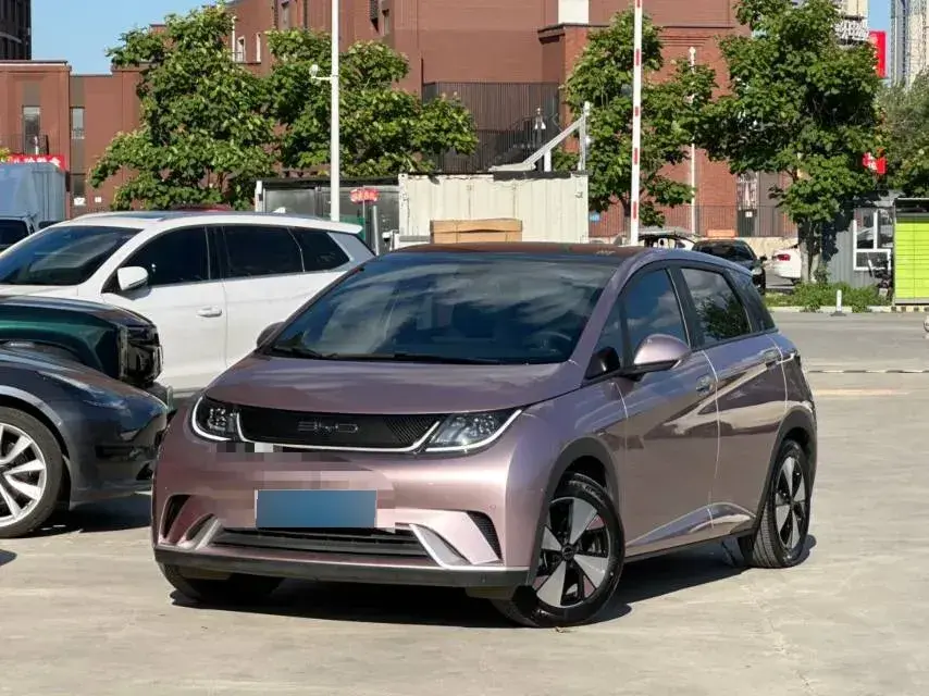 2023 BYD Dolphin BEV 44.928KWH