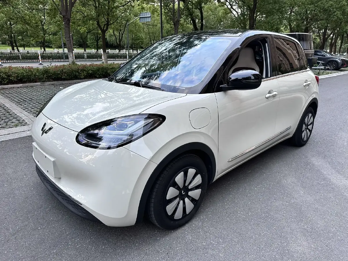 2023 WuLing BinGuo BEV 31.9KWH
