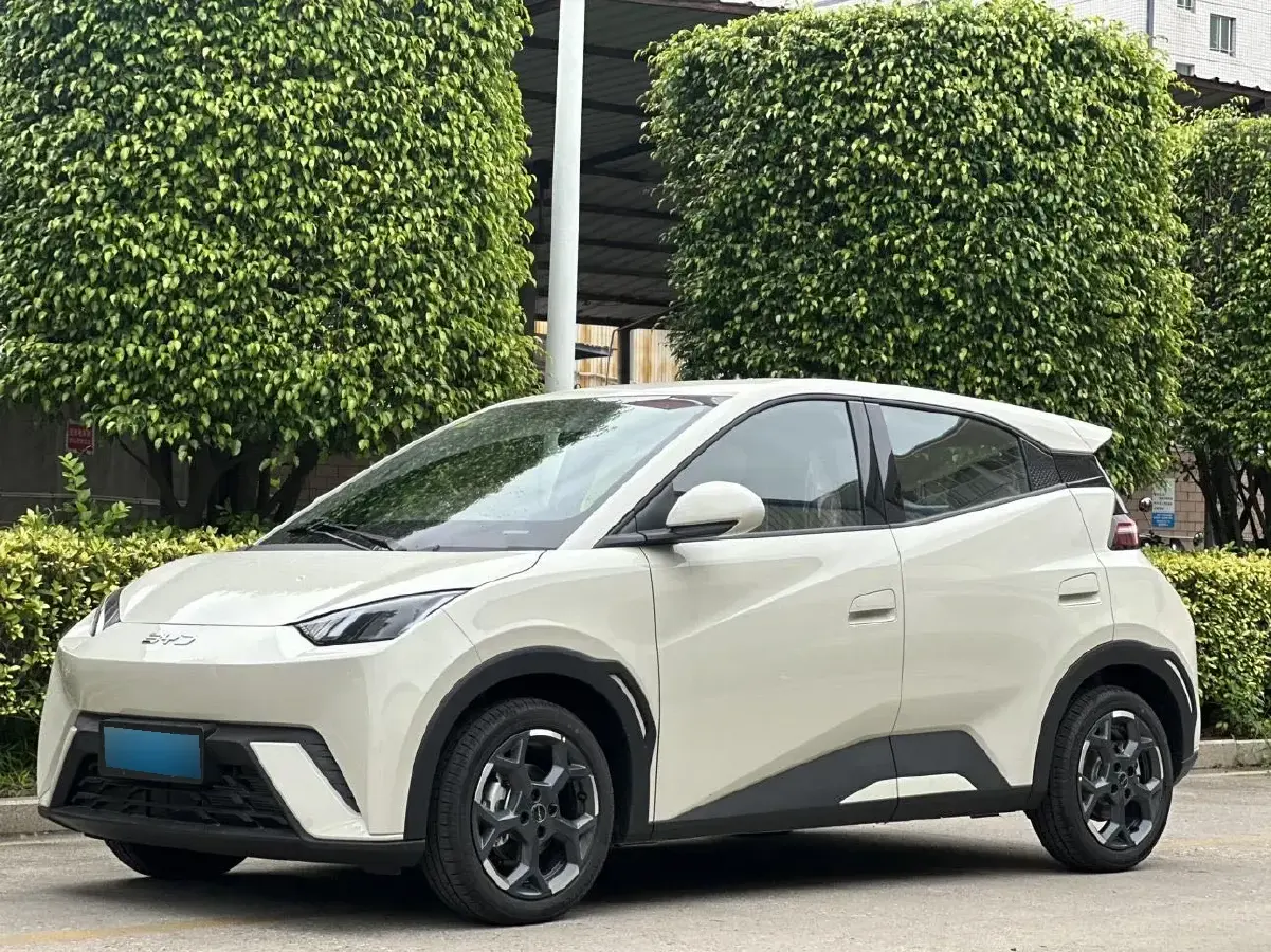2025 BYD Seagull BEV 38.88KWH