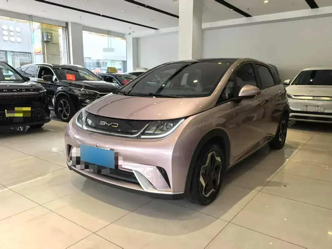 2021 BYD Dolphin BEV 44.9KWH