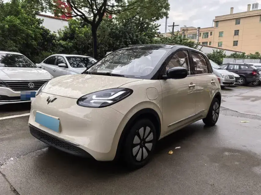 2025 WuLing BinGuo BEV