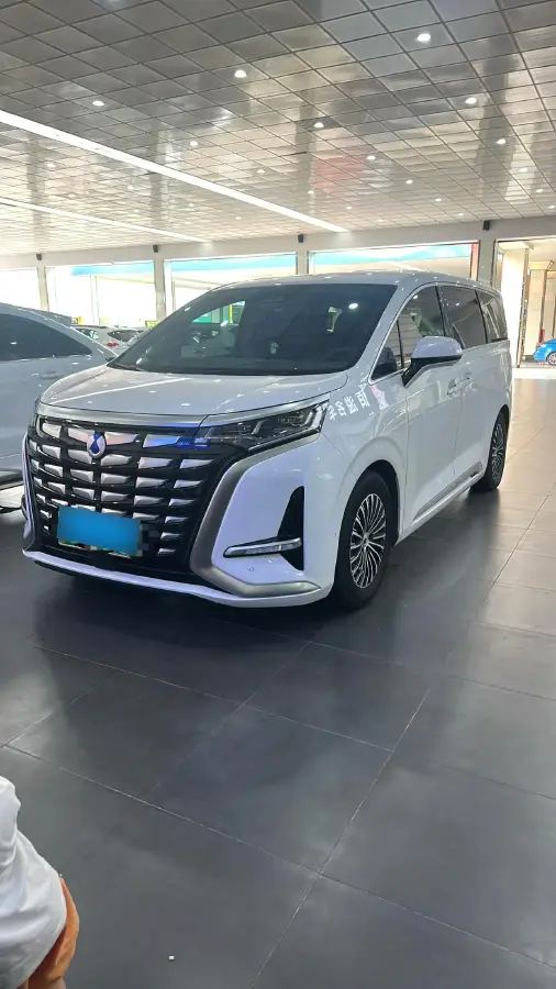 2022 Denza D9 1.5T 139HP L4 E-CVT PHEV 40.06KWH