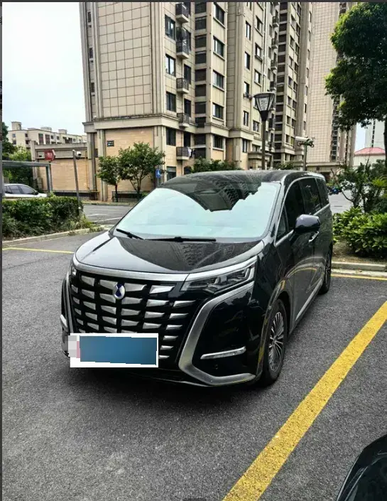 2024 Denza D9 1.5T 139HP L4 E-CVT PHEV 40KWH