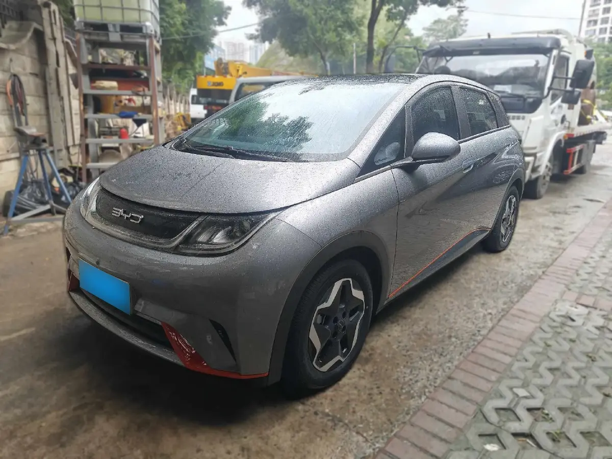 2021 BYD Dolphin BEV 44.9KWH