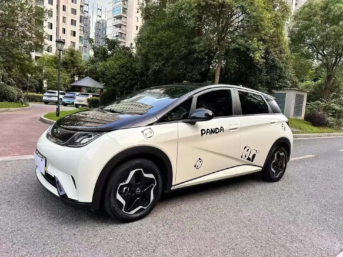 2025 BYD Dolphin BEV 44.928KWH