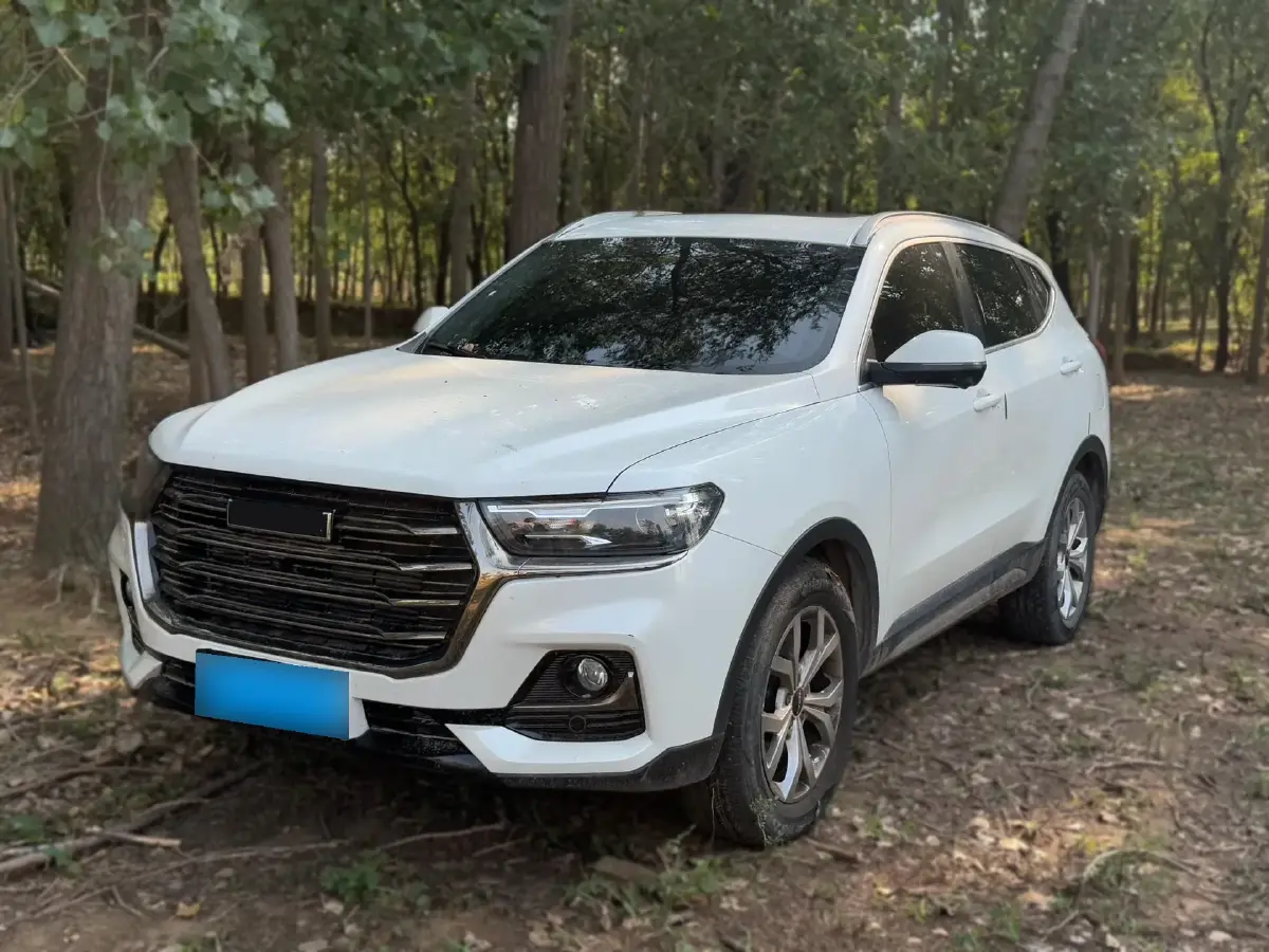2021 Haval H6 1.5T 150HP L4 7DCT