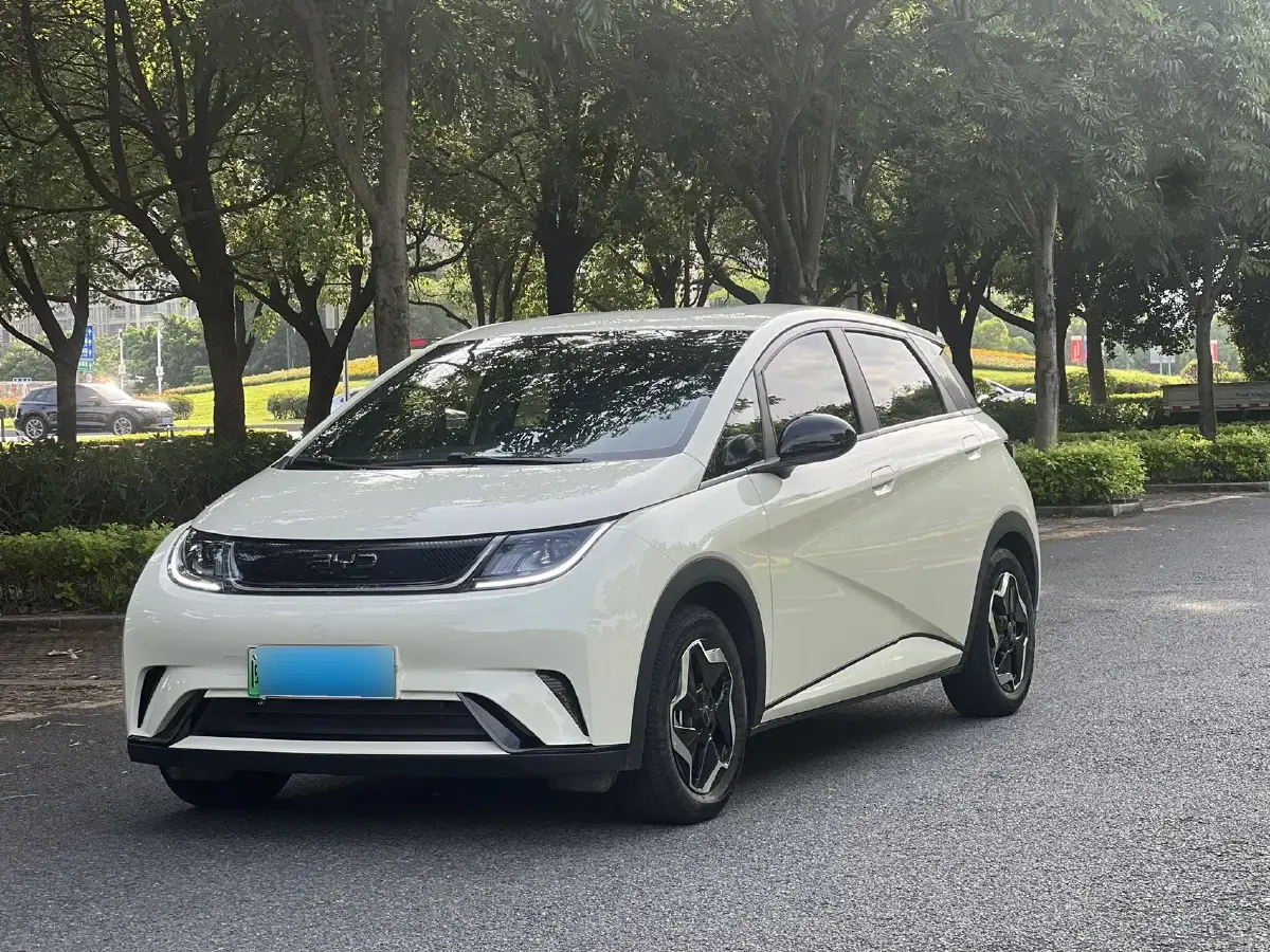 2025 BYD Dolphin BEV 44.928KWH